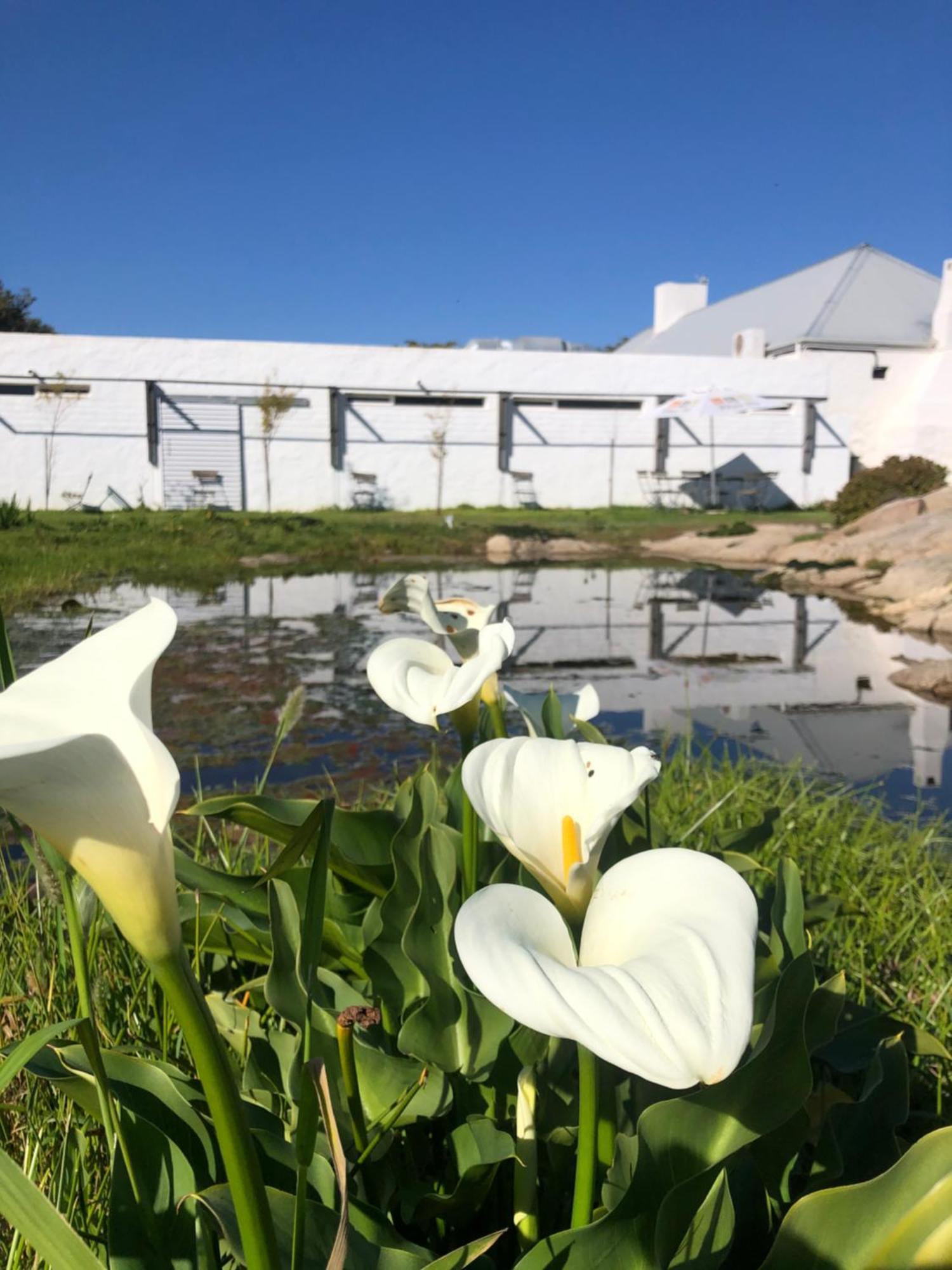 Bed and Breakfast !Khwa Ttu Swartwater Экстерьер фото