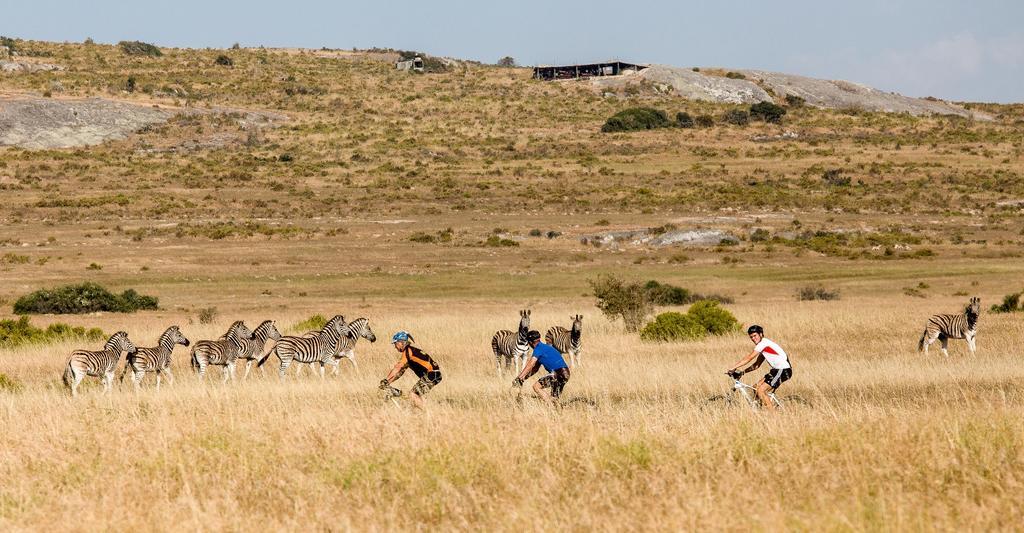 Bed and Breakfast !Khwa Ttu Swartwater Экстерьер фото
